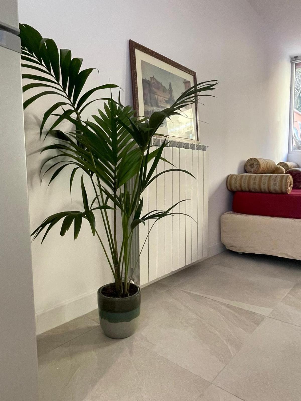 Apartment Casa Donna Olimpia Pamphilj